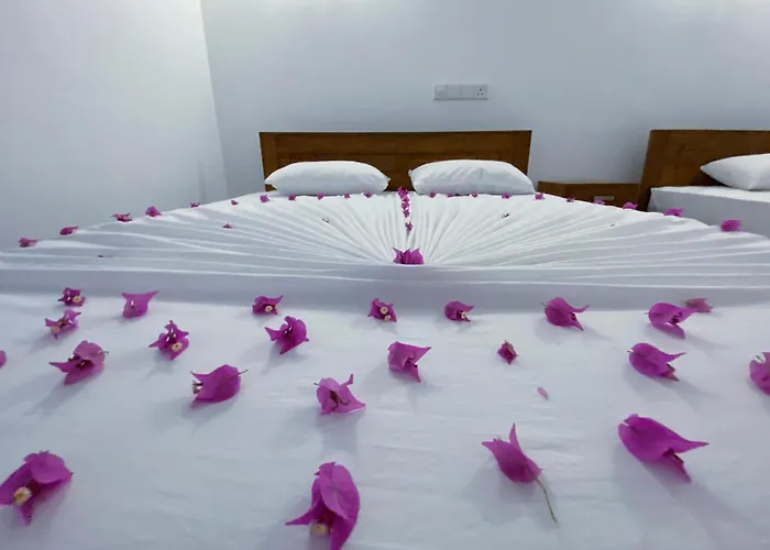 Yala Safari Green Home Stay