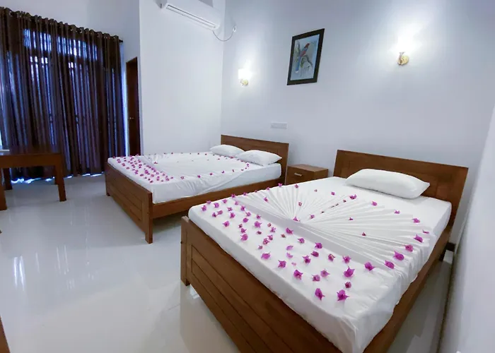 Yala Safari Green Home Stay